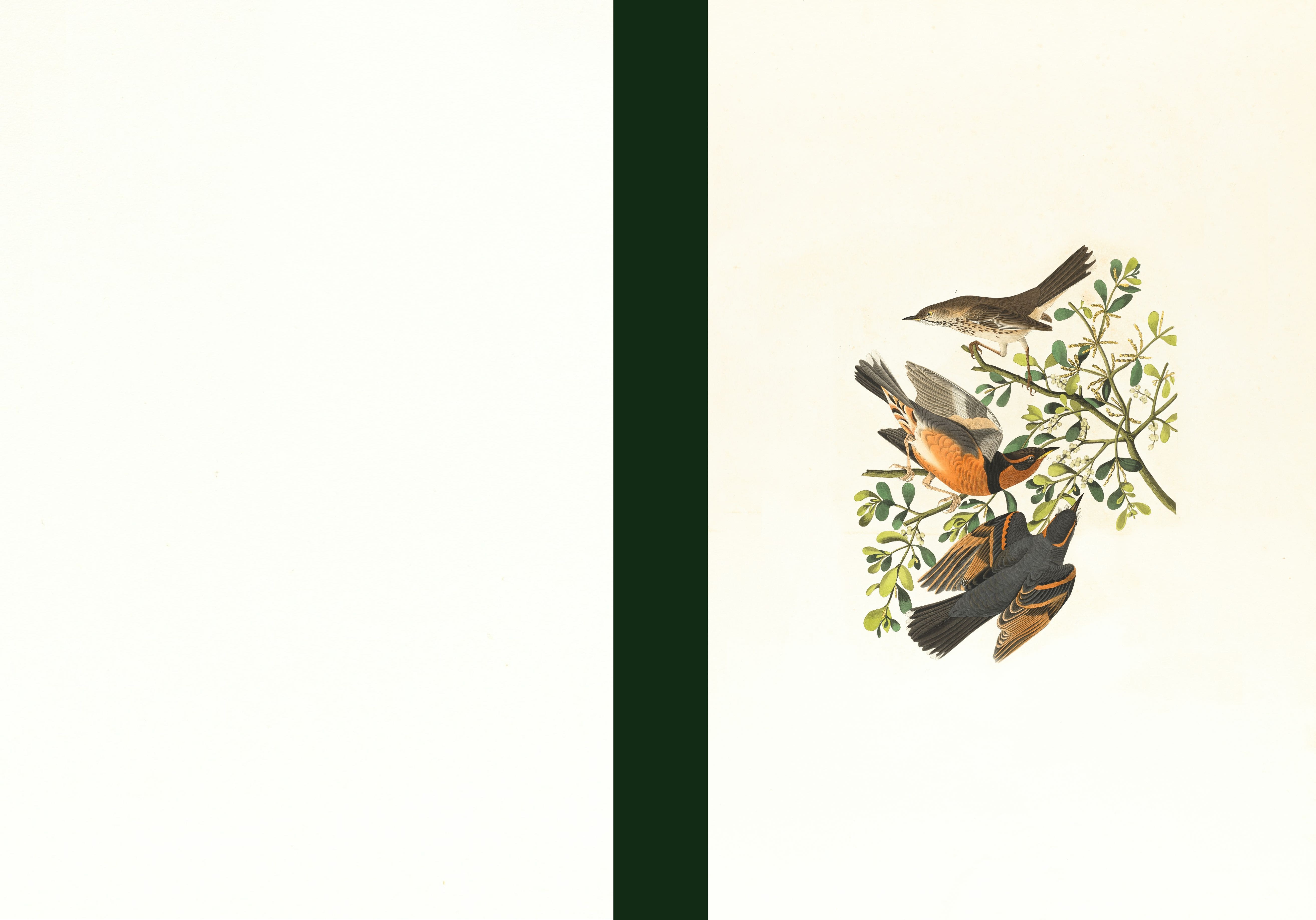 Carnet relié personnalisé et écoresponsable.